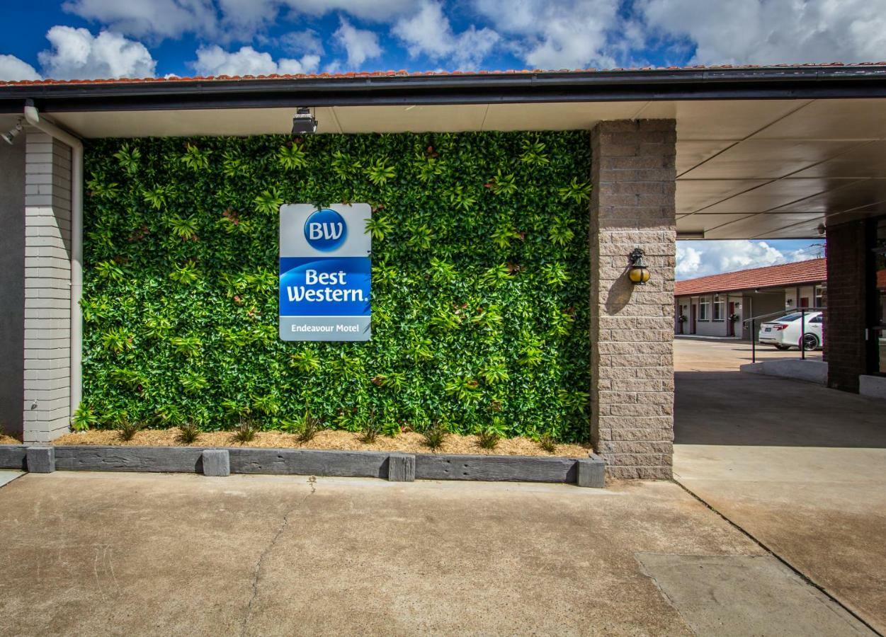 Best Western Endeavour Motel Maitland Eksteriør billede